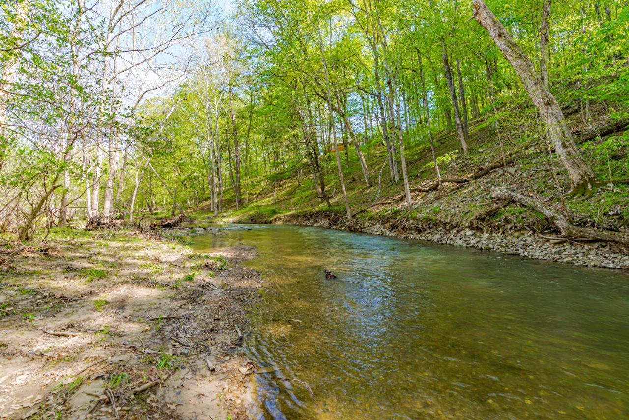 River Access Cabin With Hot Tub, Fire Pit, & Wifi! Morton Grove Buitenkant foto